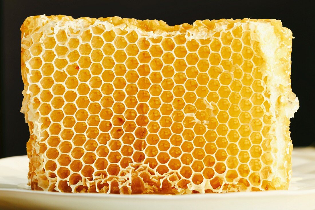 Honeycomb on a white plate