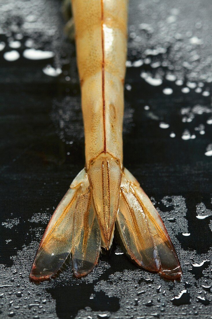 A raw king prawn on a black surface