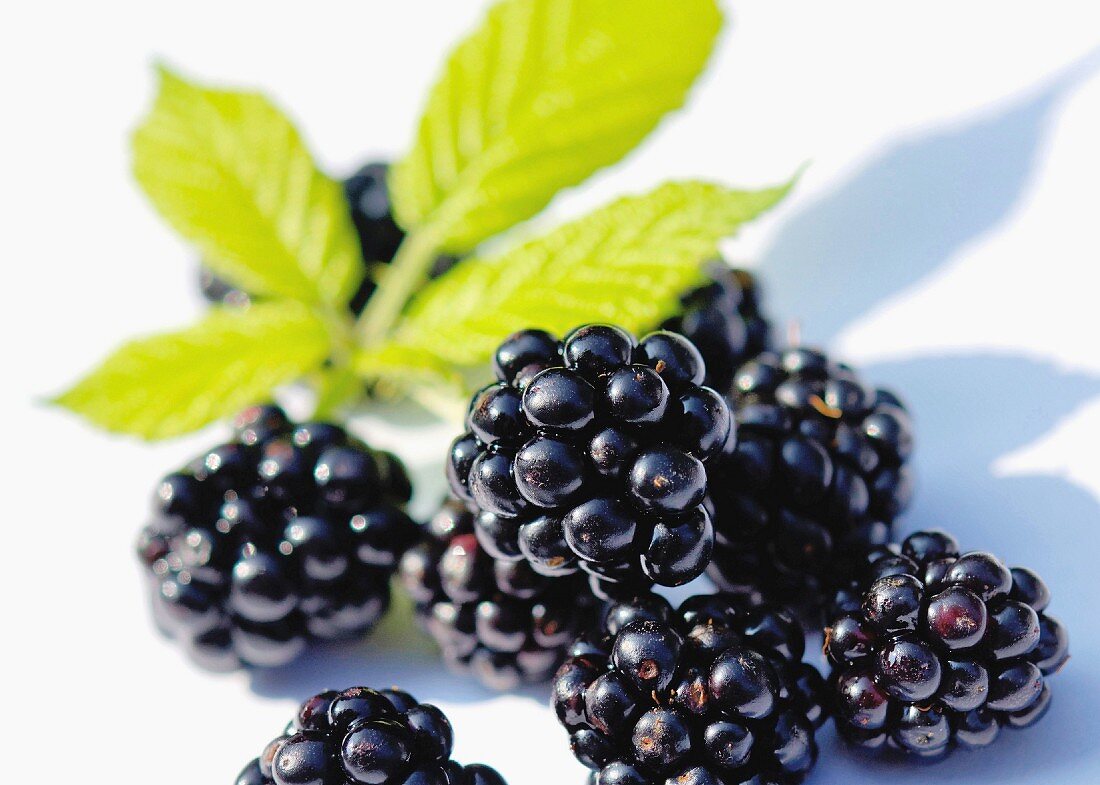 Blackberries