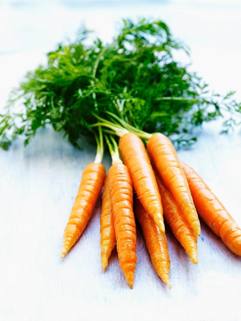 A bunch of fresh carrots with stalks