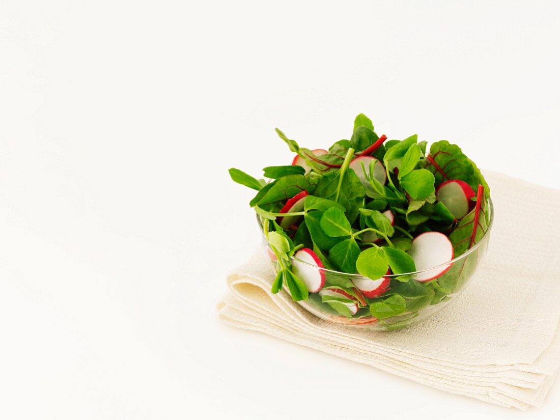 Radish salad with pea shoots