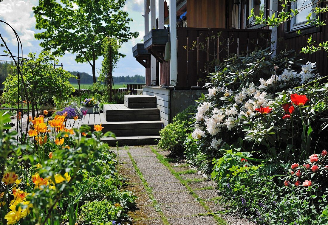 Paved path leading between flowerbeds in summery garden to veranda steps of wooden house