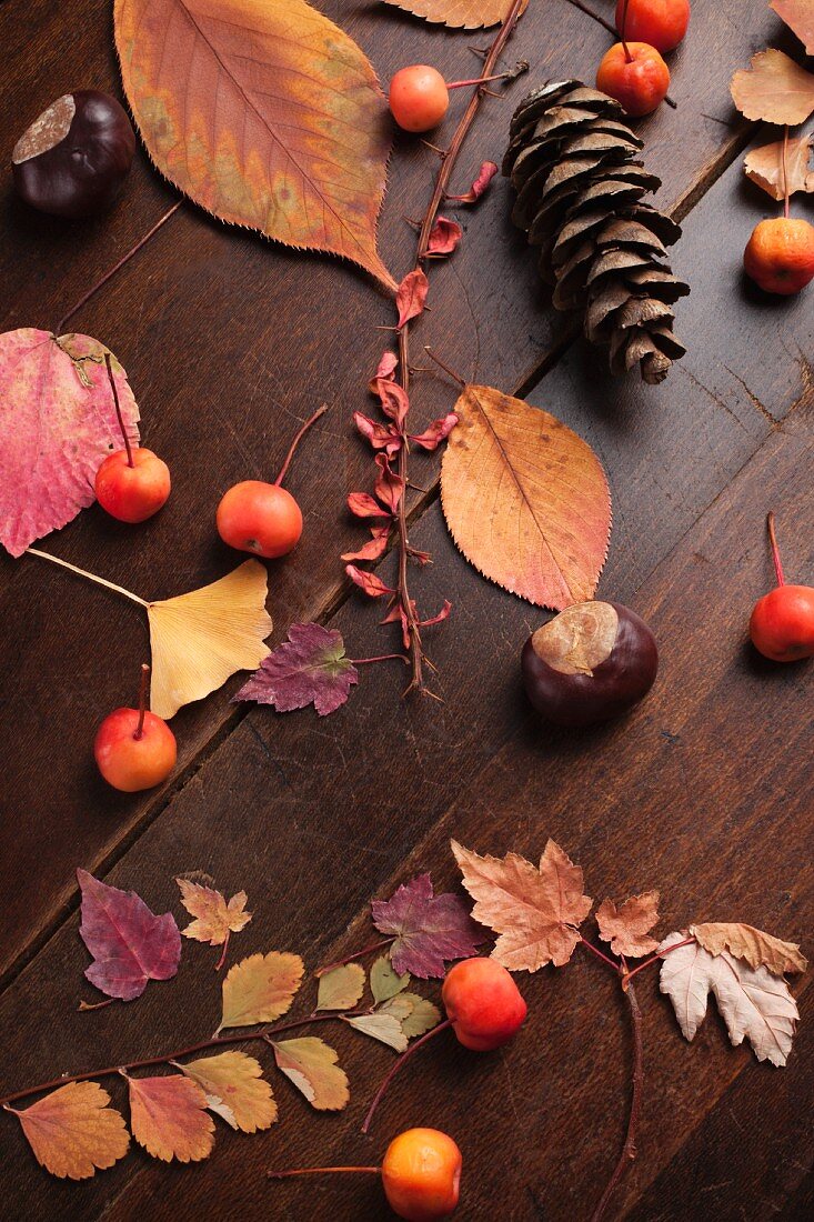 An autumnal arrangement of pine cones, leaves and berries