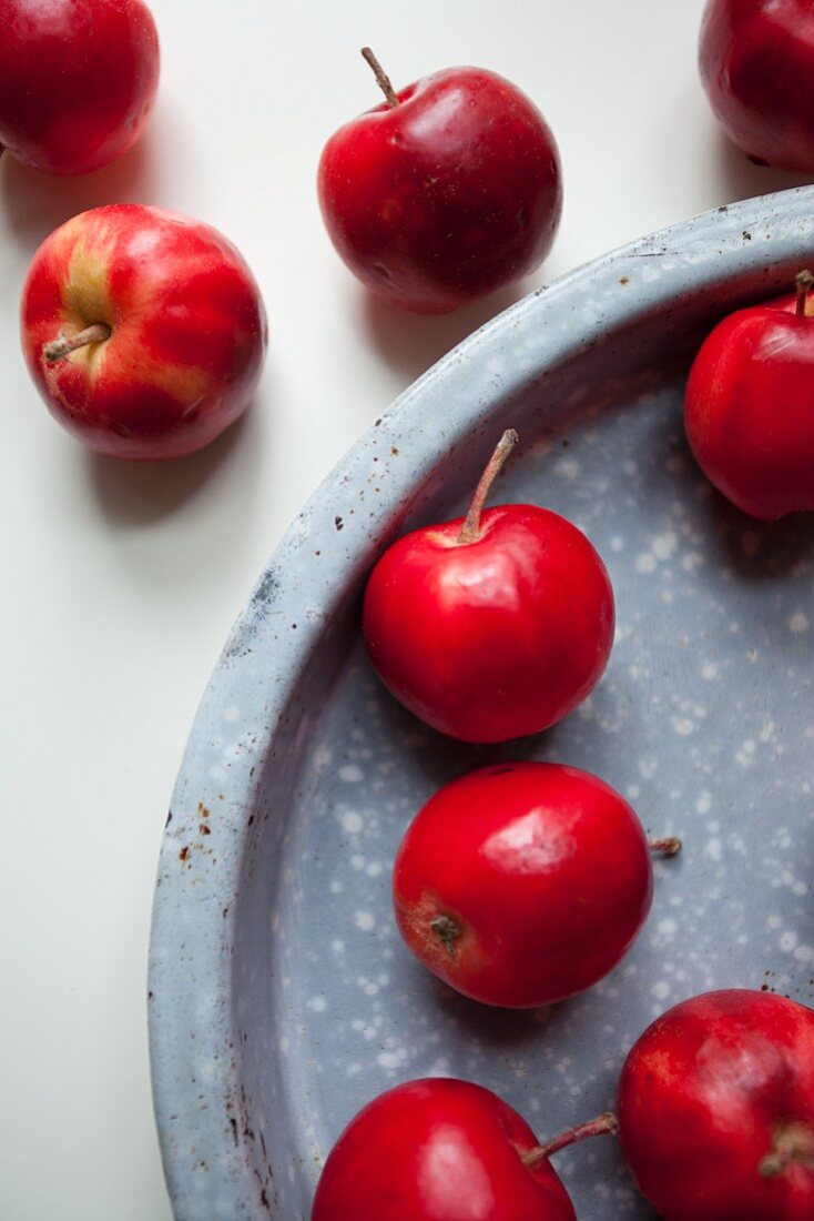 Rote Holzäpfel in einem Metalltablett