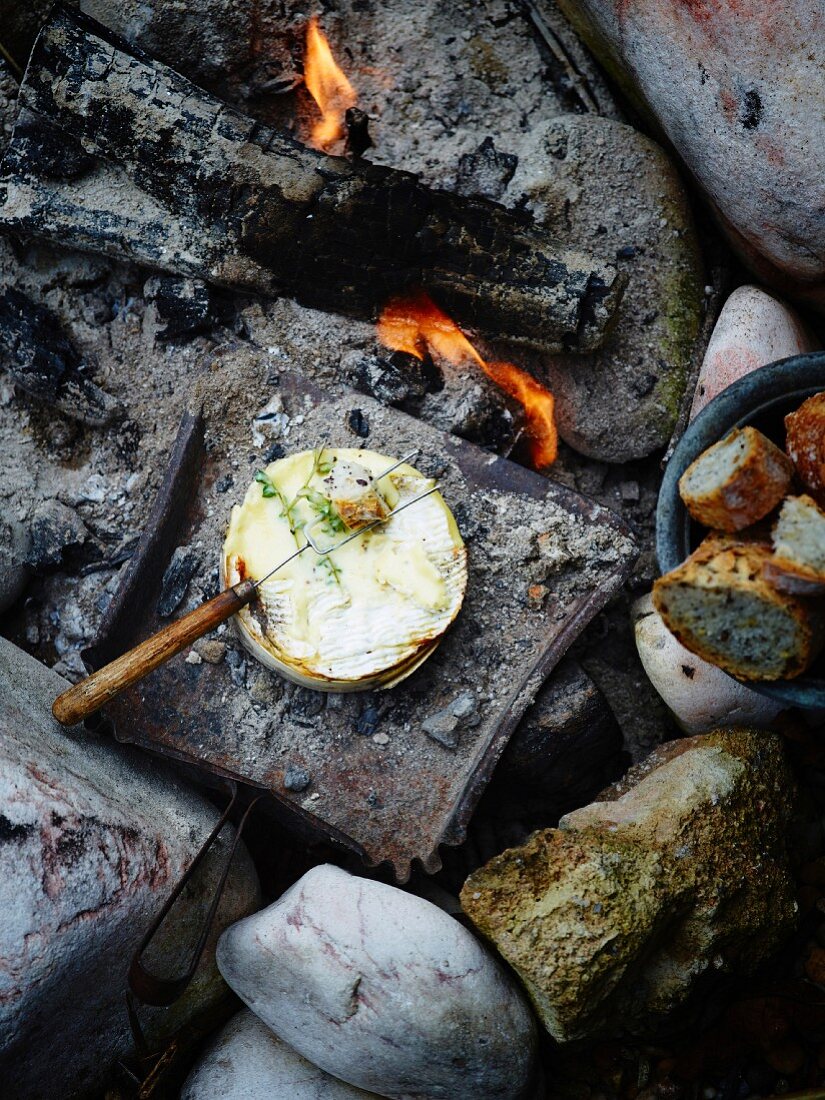 Gebackener Camembert mit Thymian vom Grill