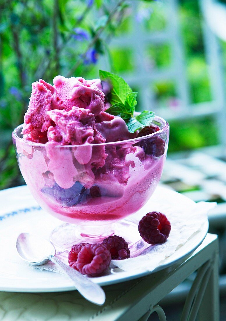 Homemade raspberry ice cream in a dessert bowl