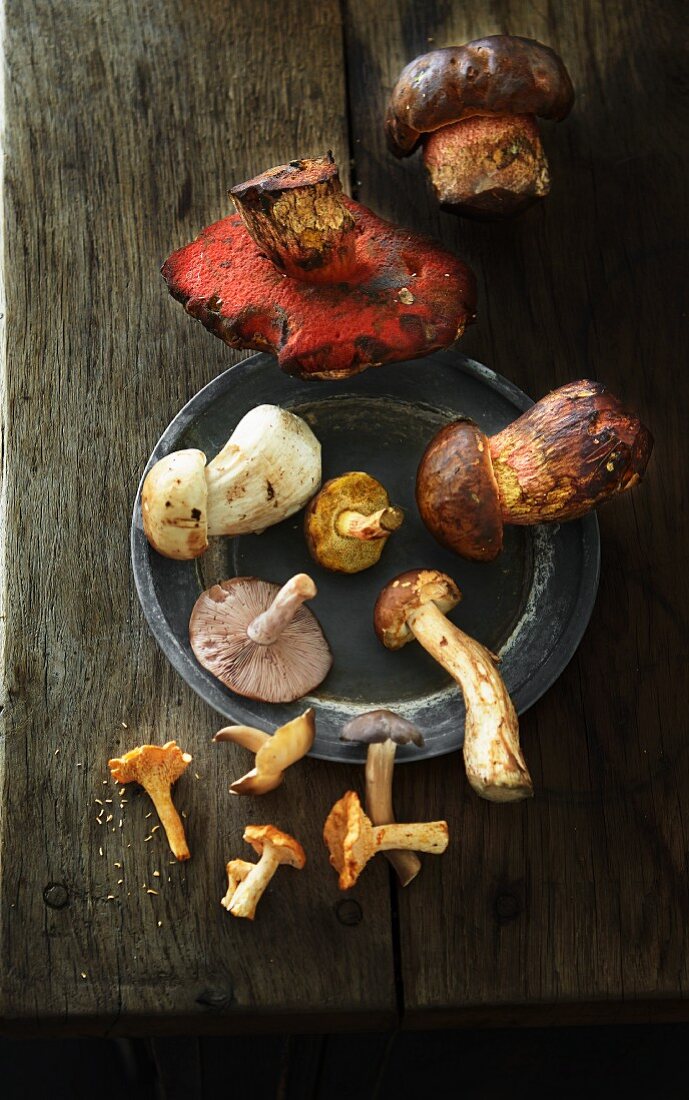 Various fresh mushrooms on a plate and on a wooden surface