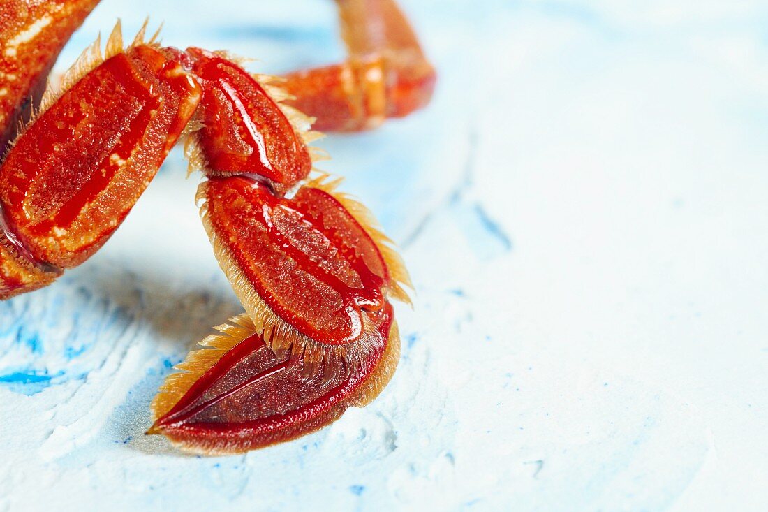 A crabs leg (close-up)