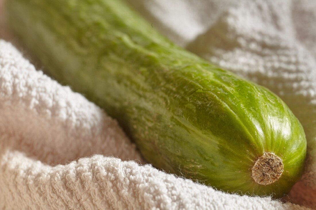 A fresh cucumber on a cloth