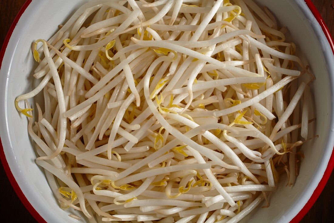 Fresh, mung bean sprouts (seen from above)