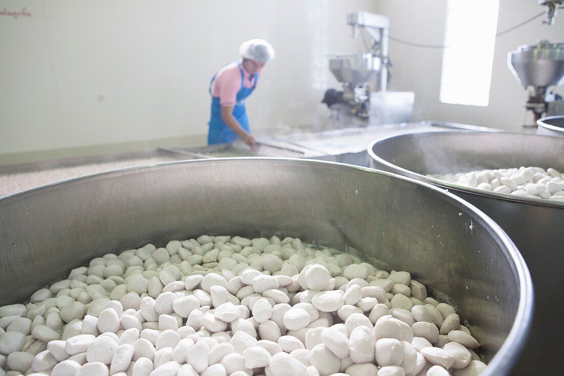 Herstellung von Fischbällchen in der Fabrik, Thailand