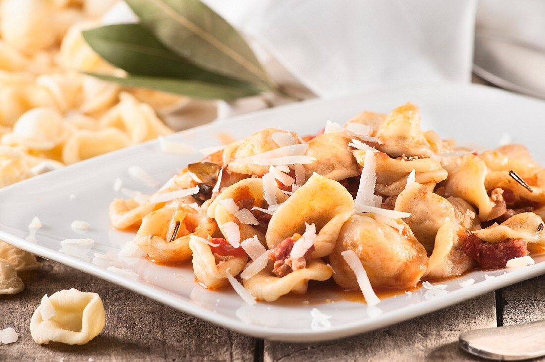 Orecchiette al ragù di carne e salame (pasta with a meat and sausage sauce, Italy)