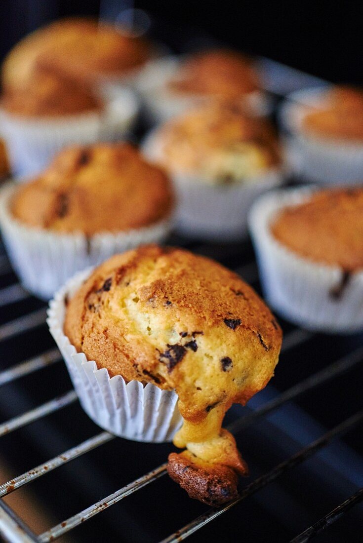 Chocolate chip muffins on a wire rack