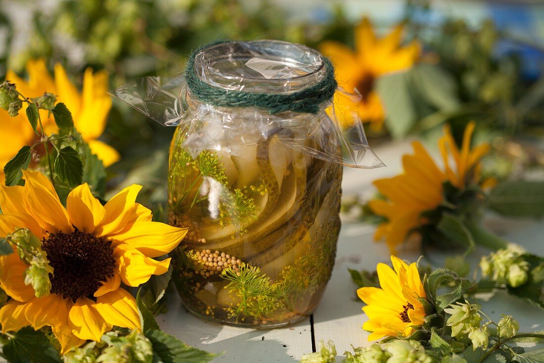 Essiggurkenglas umgeben von Sonnenblumen & Hopfenranken