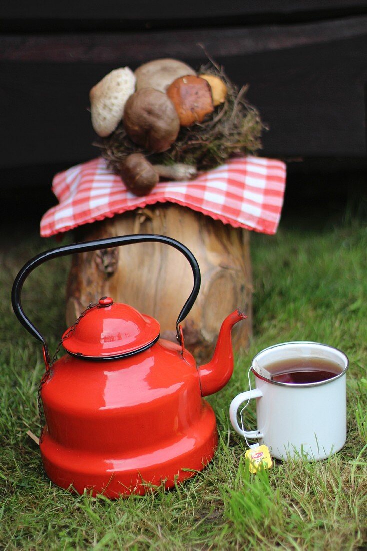 Tee in Emaillekanne und Tasse vor Baumstamm mit Pilzen