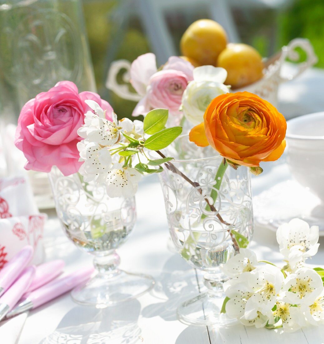 Verschiedenfarbige Ranunkeln und weiße Obstblüten in nostalgischen Stielgläsern auf sonnenbeschienenem Gartentisch