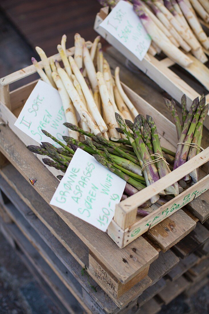 Asparagus in crates at the Torvehallerne market in Copenhagen