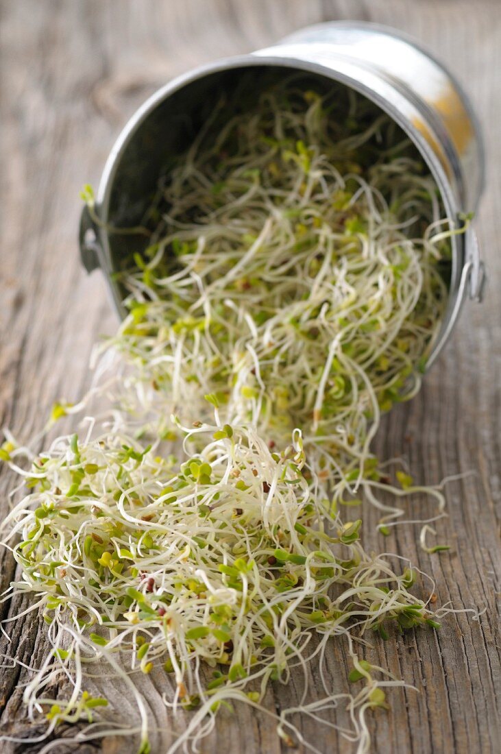 Beansprouts on a rustic wooden table