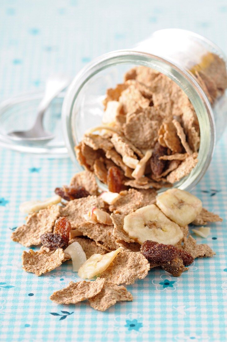 Spelt flakes with dried fruit