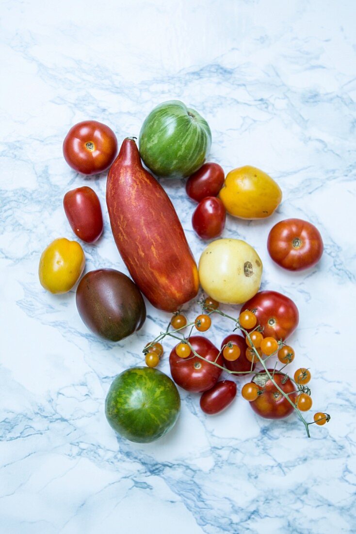 Various varieties of tomatoes