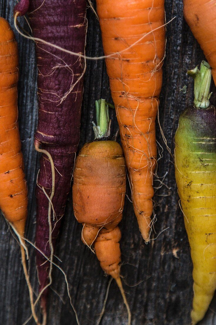 Various fresh carrots on a wooden surface