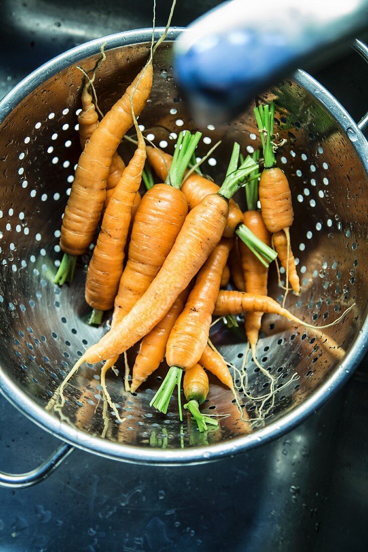 Freshly washed carrots in a colander