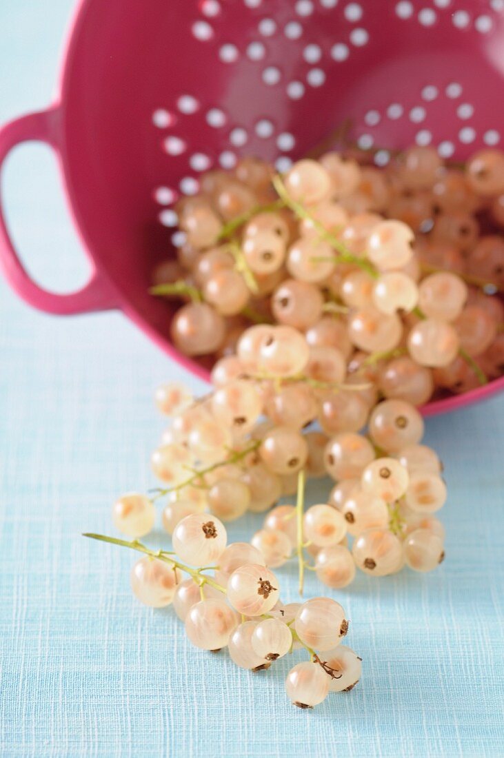 White currants