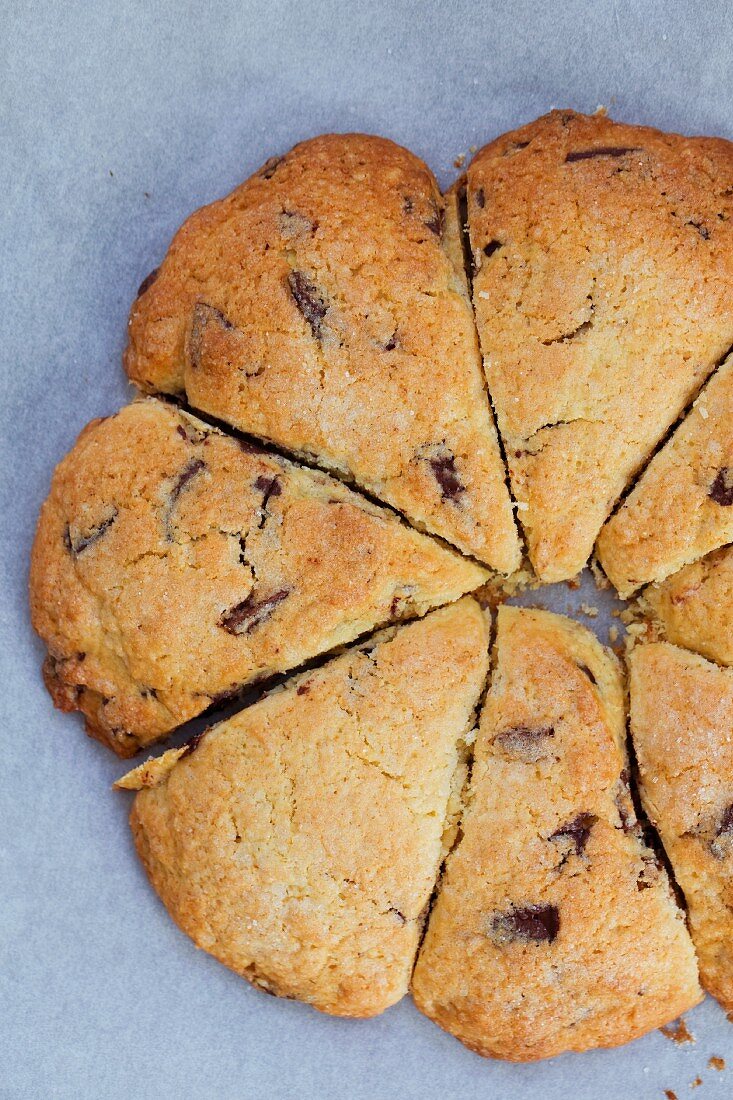 Chocolate chip scones (seen from above)