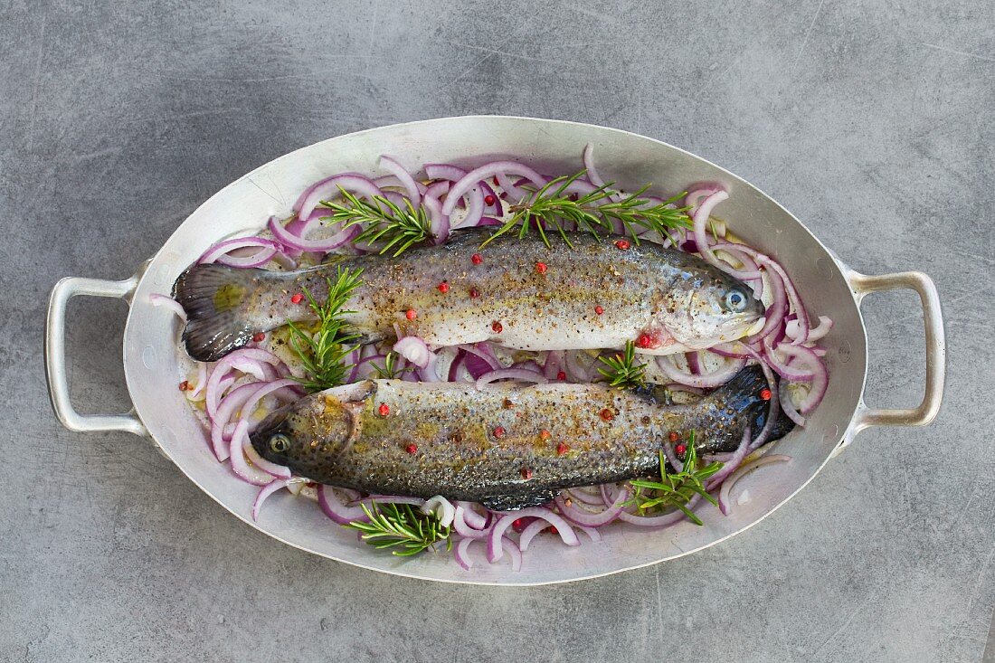 Fresh trout on red onions and rosemary
