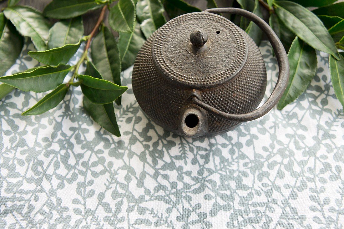 Teekanne und frische Teeblätter
