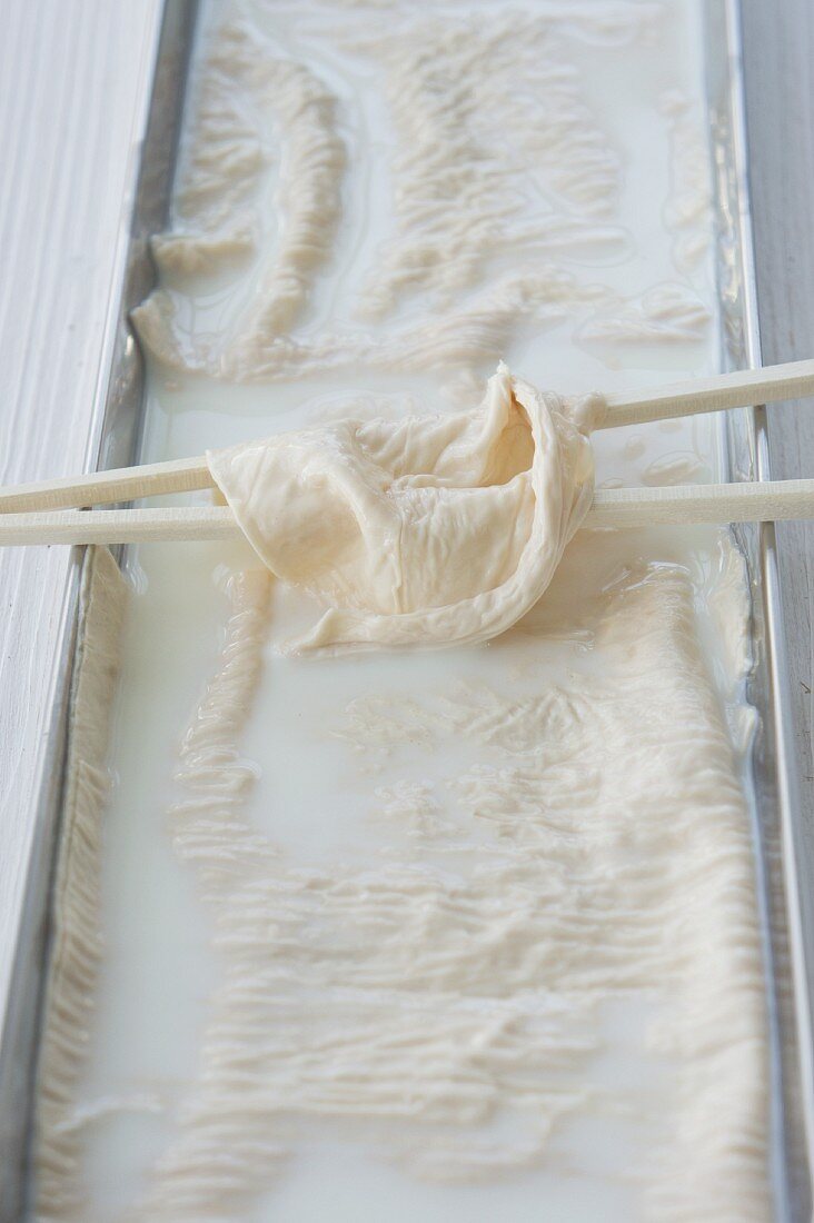 Yuba - soya milk skin (speciality from Kyoto, Japan)