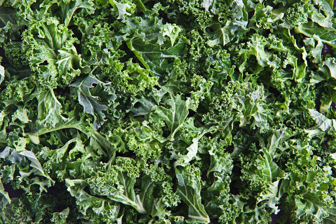 Fresh kale (full frame)