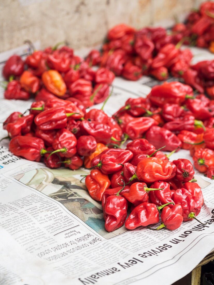 Rote Paprikaschoten auf einem lokalen Markt in Dar es Salaam, Tansania