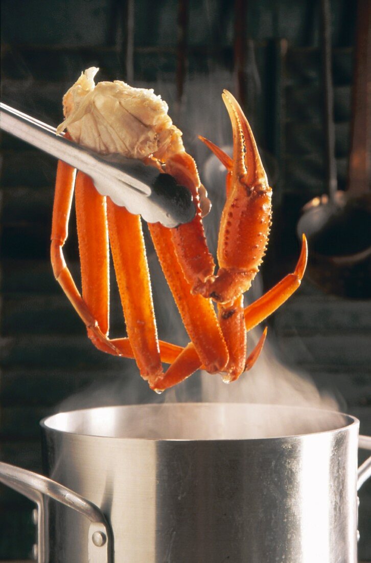 Tongs holding crab legs over a steaming stock pot