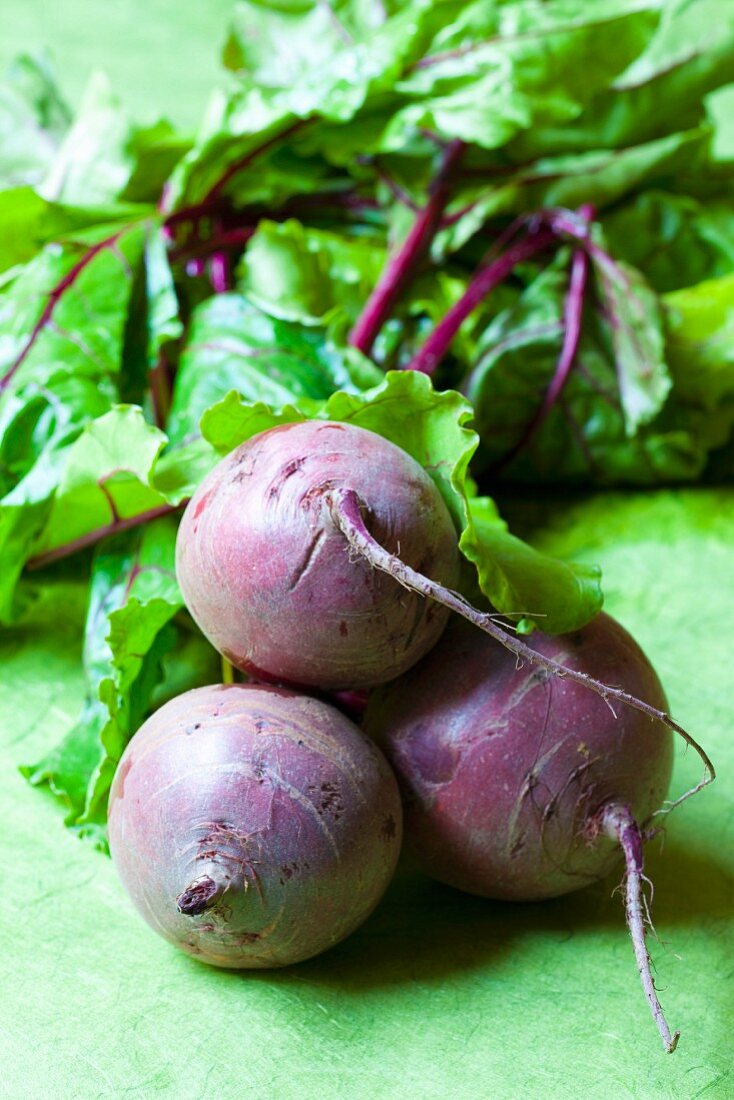 Rote Bete mit Blättern (Bio)