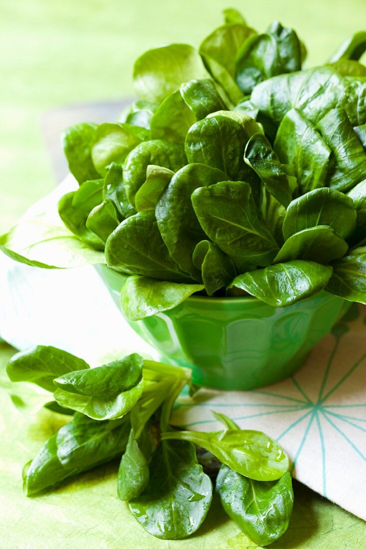 Fresh lamb's lettuce in a green bowl and next to it