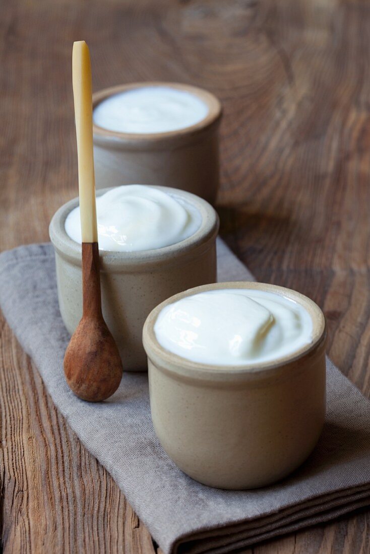 Homemade yoghurt in bowls