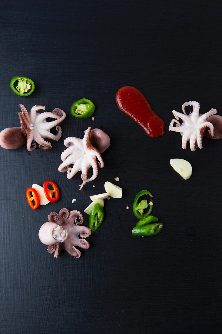 Oktopus, Jalapenos, Knoblauch und Tomatensauce