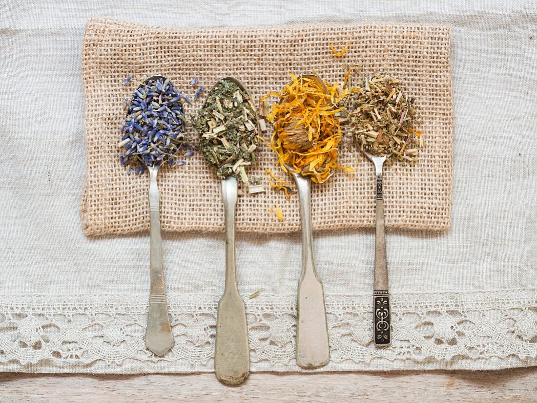 Dried medicinal herbs: lavender (lavandula), meadowsweet (filipendula ulmaria), agrimony (agrimoniae herba) and marigold (calendula officinalis) on silver spoons