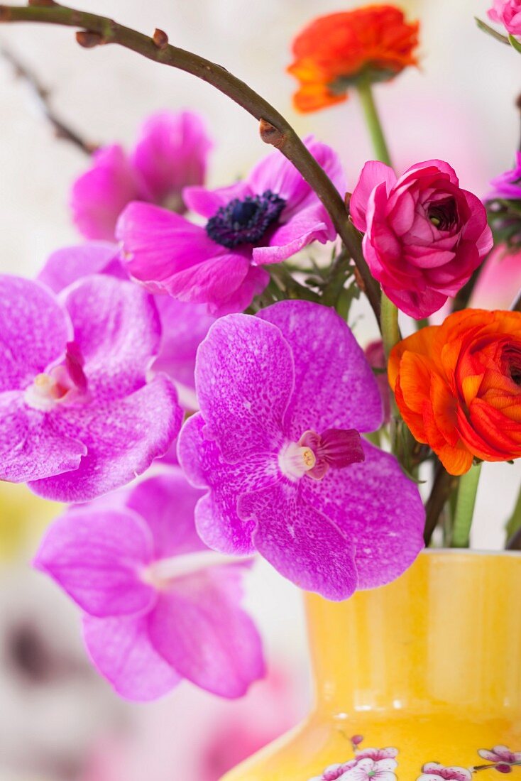 Orchids, anemones and ranunculus in yellow vase