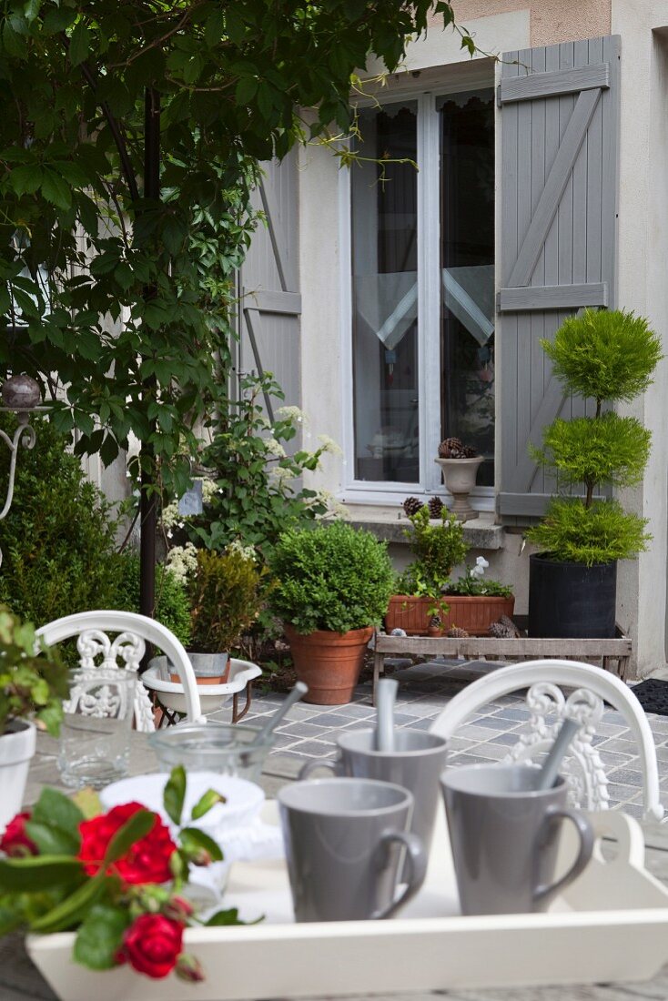 Beakers on wooden tray in planted courtyard of country house with grey shutters