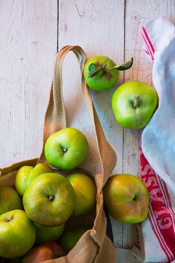 Frisch gepflückte Bramley Äpfel im Jutesack auf weissen Holzbrettern