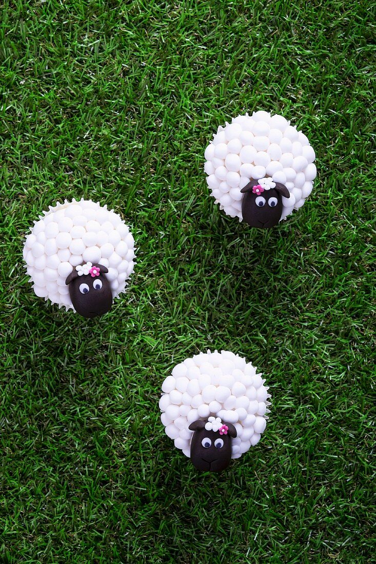 Easter lamb cupcakes on a grass surface