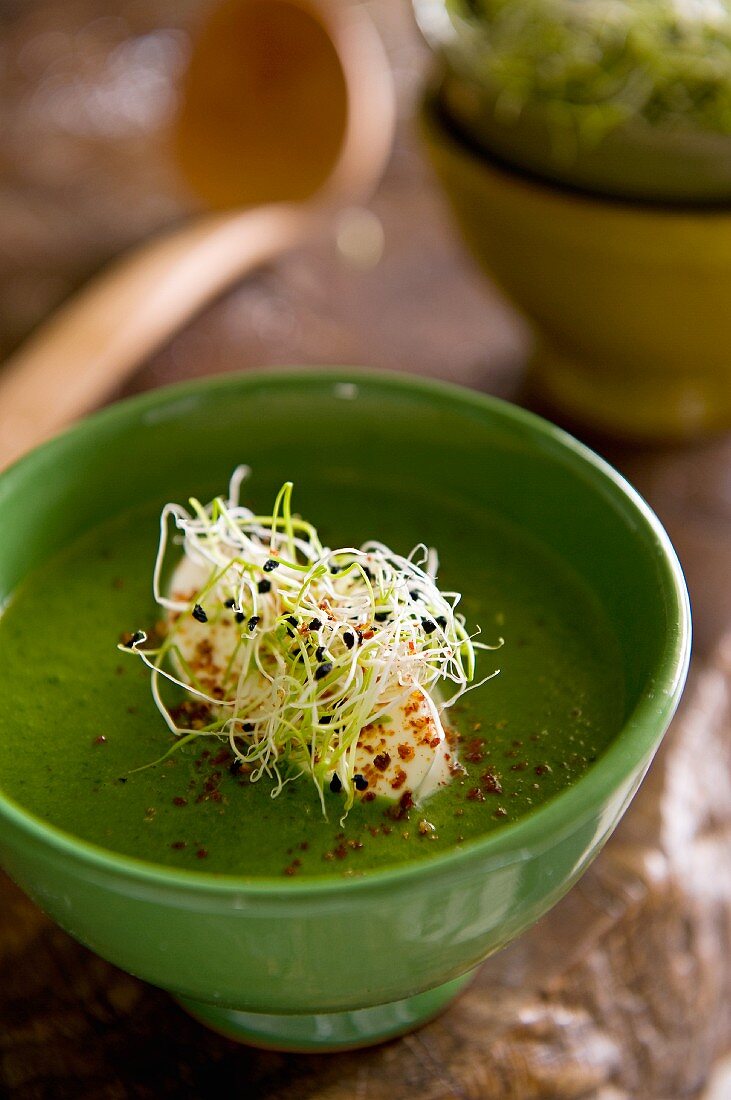 Green vegetable soup with bean sprouts