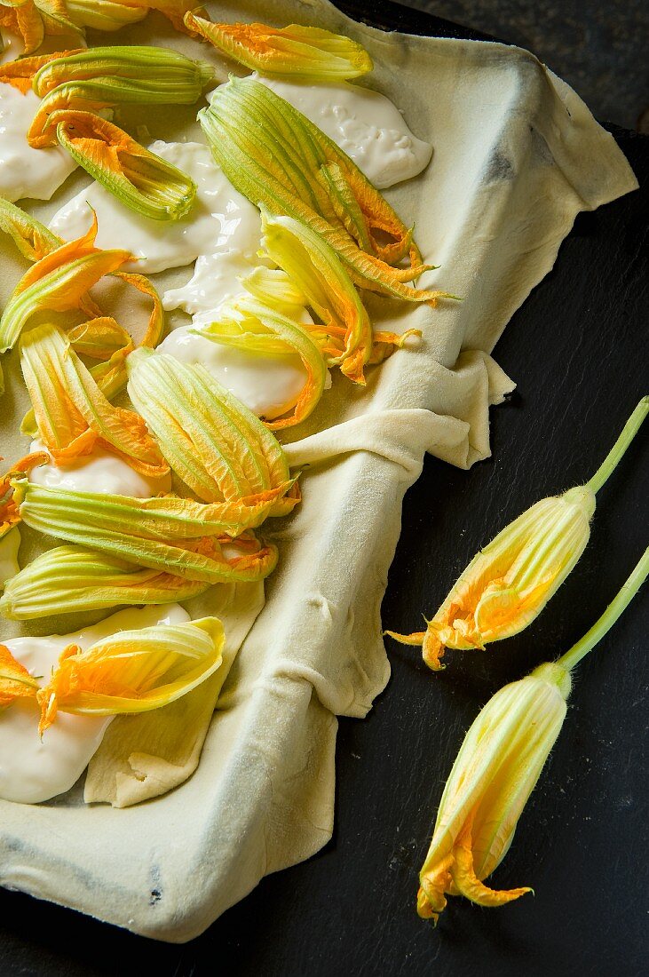 Courgette flowers with burrata on pastry