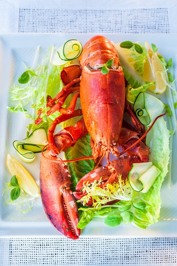 Lobster with salad