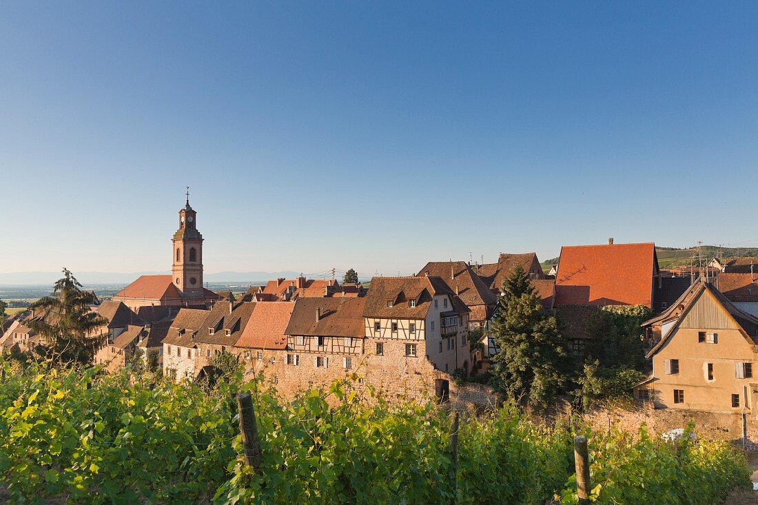 Riquewihr in the morning, Alsace