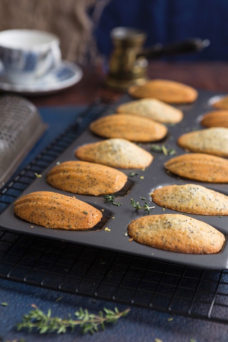 Lemon and thyme madeleines in a madeleine tin