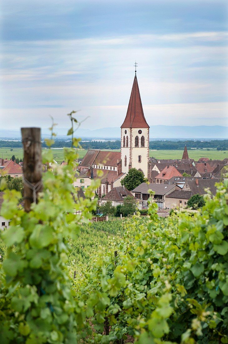 Ammerschwihr on the Alsatian wine route