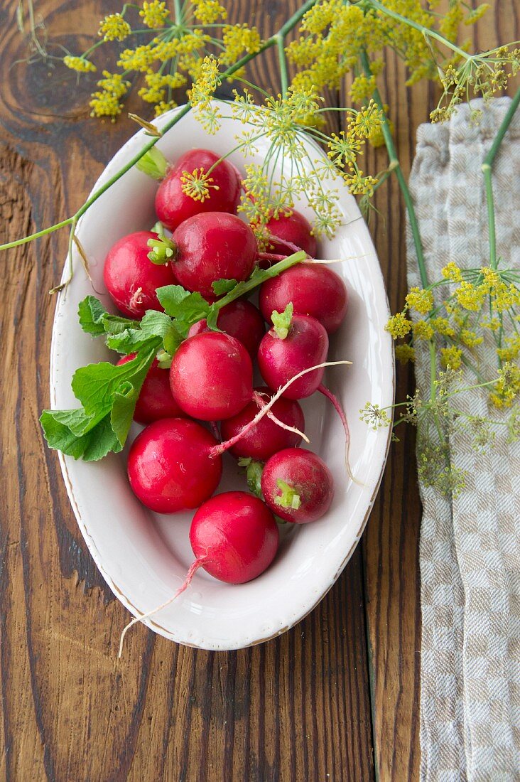 Radishes in a oval dish with dill flowers